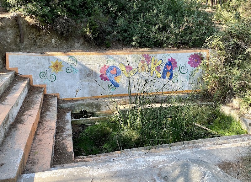 Plaka Forest