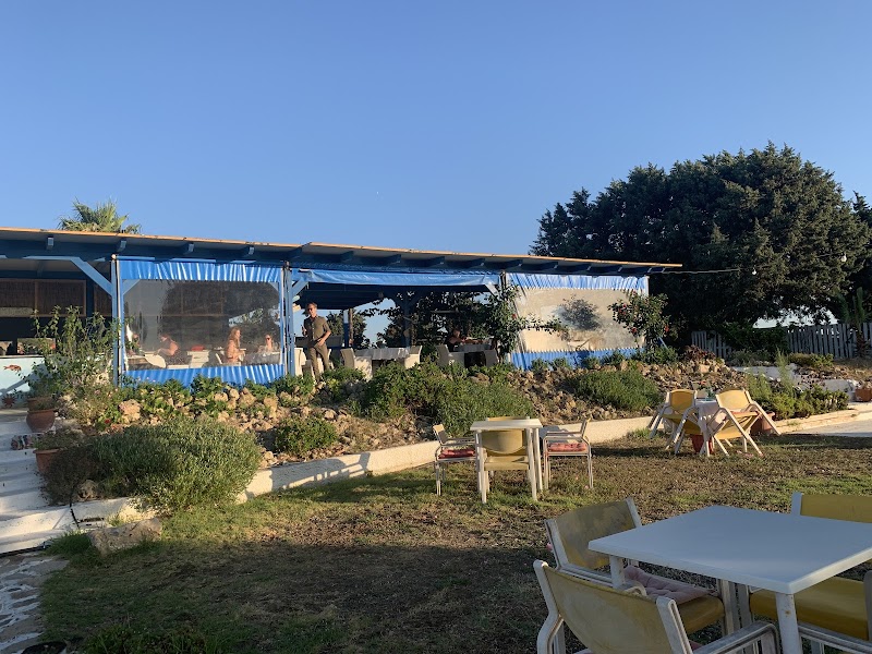Dolphin Bay