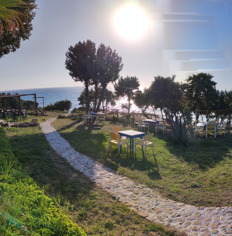 Dolphin Bay