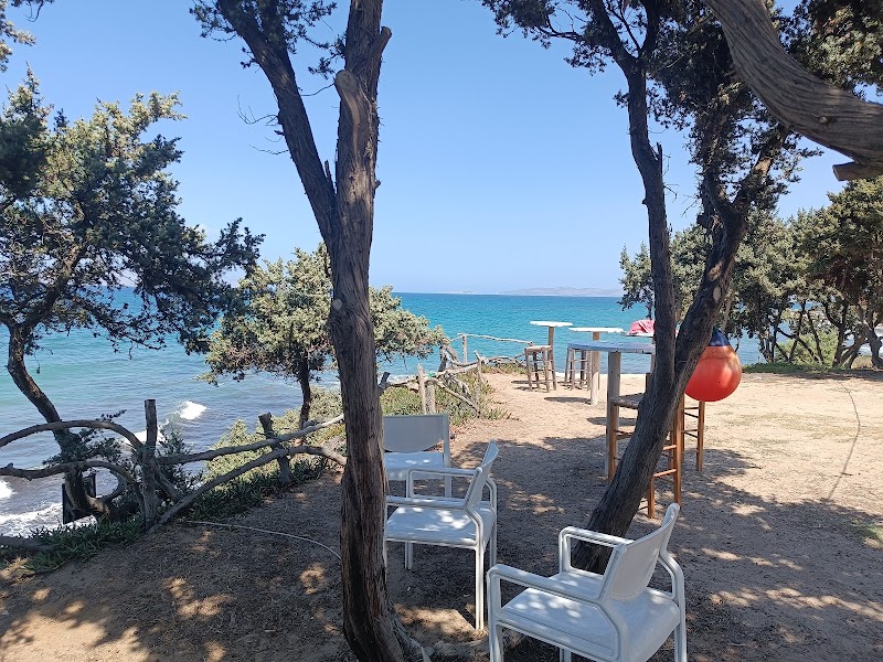Dolphin Bay