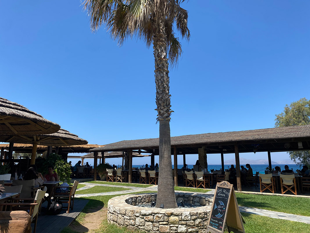 TamTam Beach