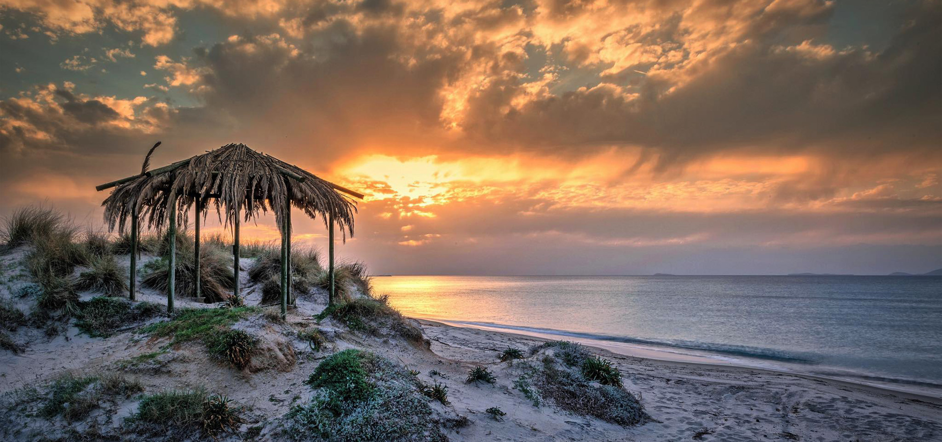 TamTam Beach