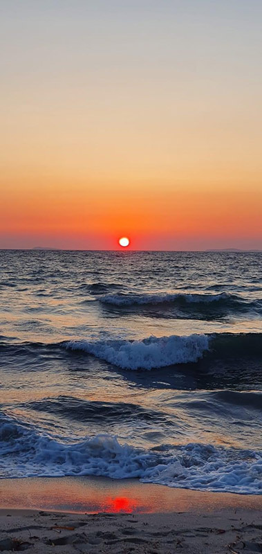 TamTam Beach