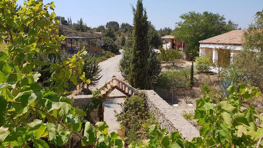 Hippocrates Garden