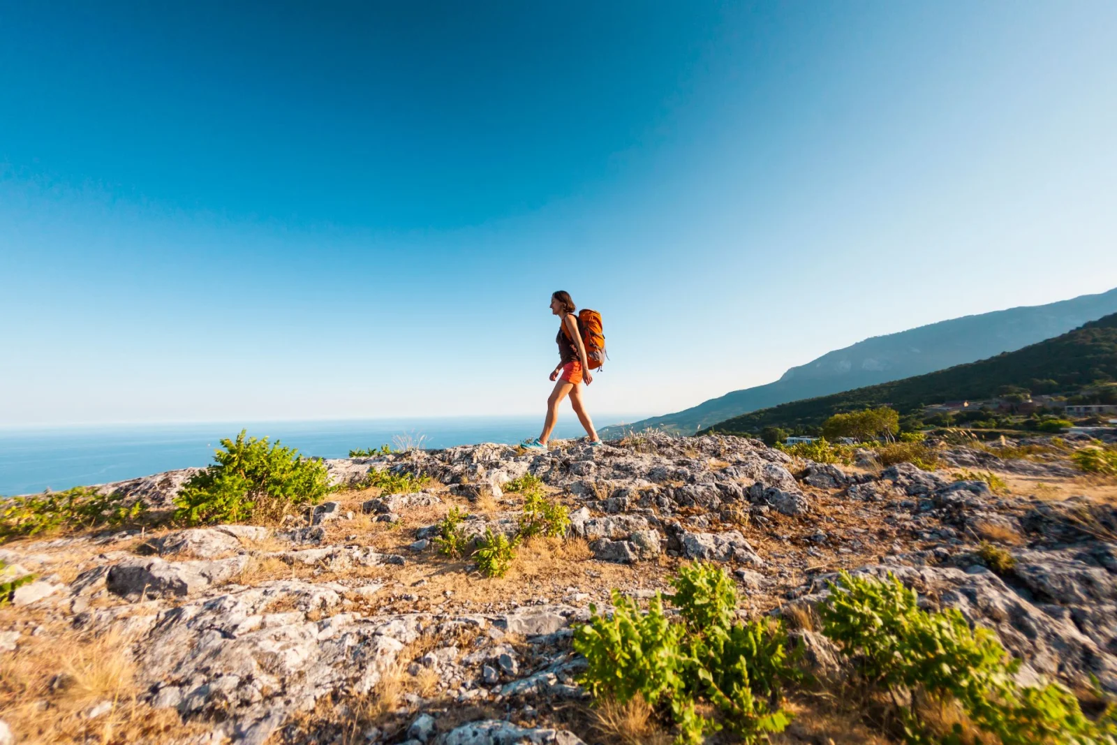 Coastal Cliffs & Hiking Experience